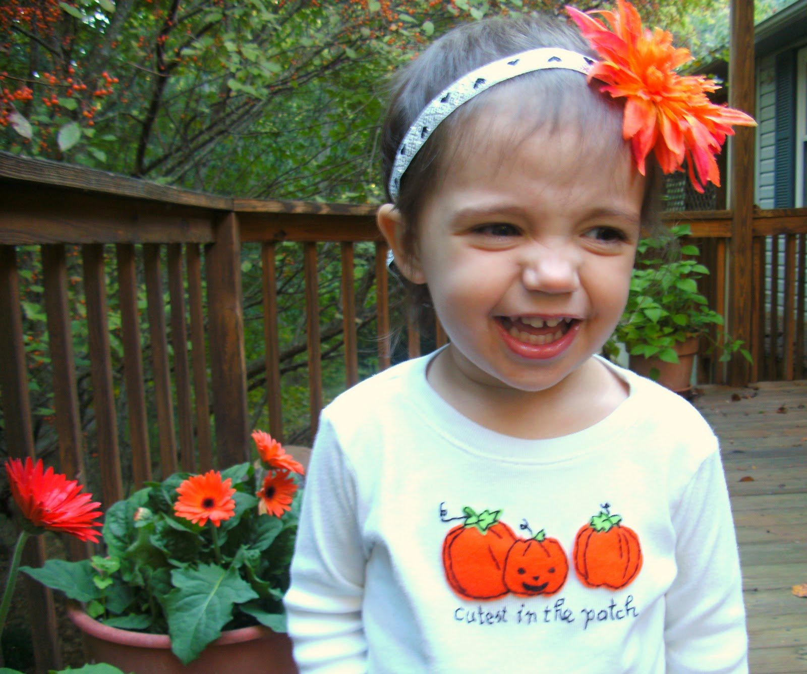 Janie and Jack-o-lantern: DIY T-shirt Applique